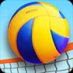 专业沙滩排球游戏下载-专业沙滩排球安卓版下载v1.0.3