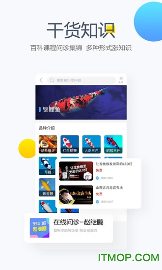 龙巅锦鲤鱼论坛app
