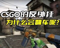 csgo挂（csgo的反外挂）