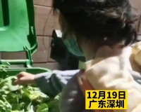 女子凌晨背三个月宝宝在垃圾桶捡菜叶（她的家庭条件不好而且家里还有一个4岁的女儿）