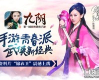 九阴真经媒体礼包（九阴媒体灵宠礼包）
