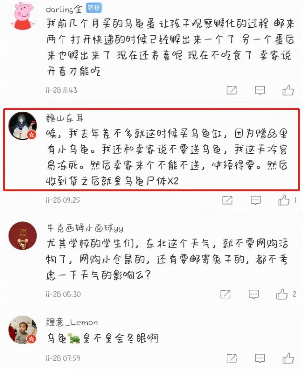 东北男子收到快递，开箱后哭笑不得，宠物龟已成乌龟干