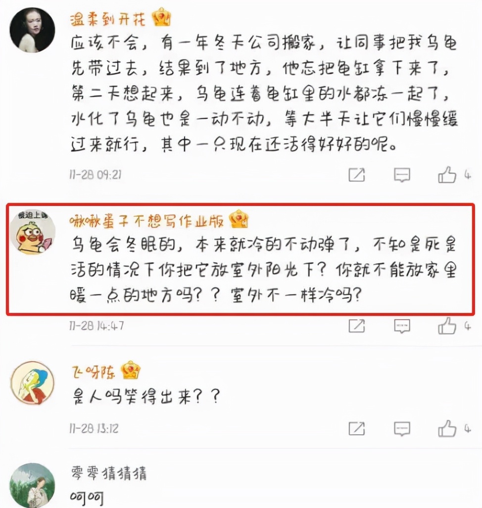 东北男子收到快递,开箱后哭笑不得,宠物龟已成乌龟干