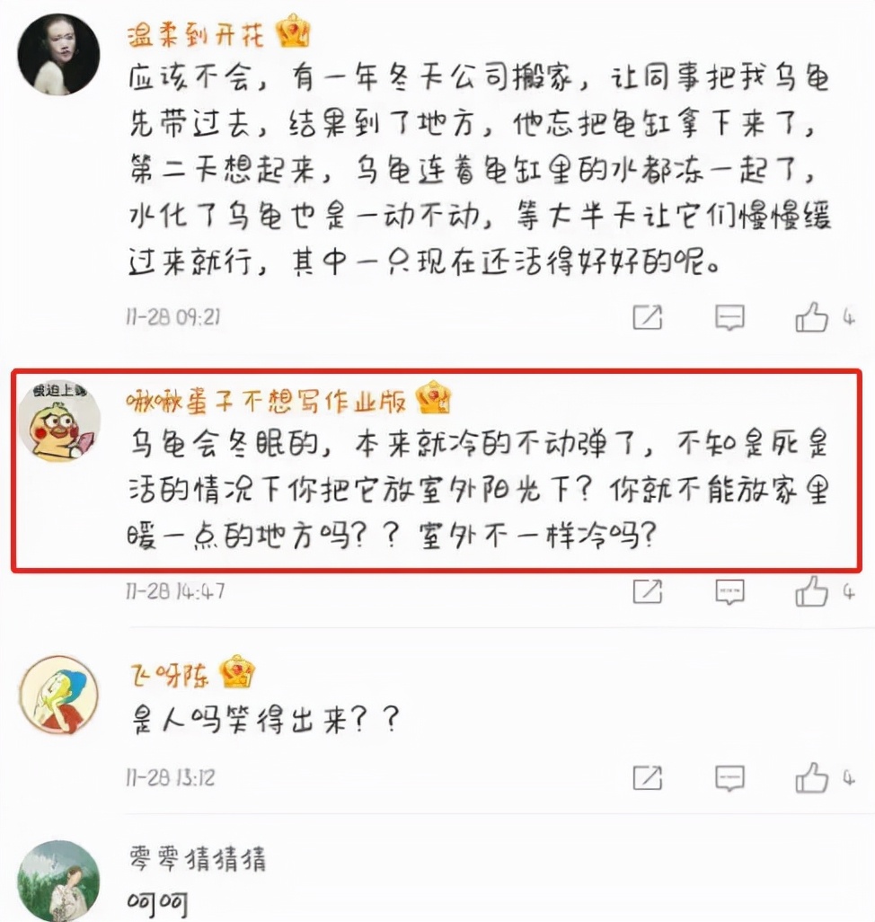 东北男子收到快递，开箱后哭笑不得，宠物龟已成乌龟干