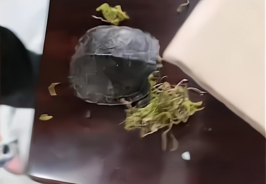 东北男子收到快递,开箱后哭笑不得,宠物龟已成乌龟干