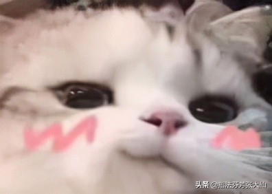 削弱倒计时!典韦最后的辉煌!“中惩流”或将成为中路新势力