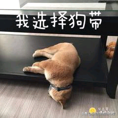 《上古卷轴5:天际》深度揭秘之,走进乌佛瑞克·风暴斗篷