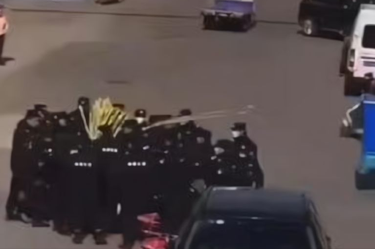 三星镇“抢甘蔗事件”老人发声:不想原谅他们的做法,行为太恶劣