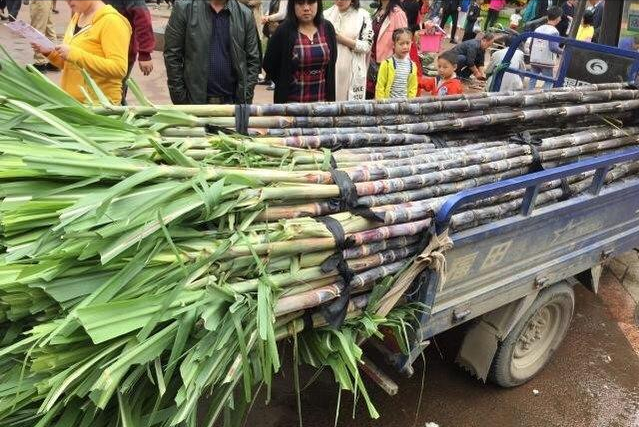 三星镇“抢甘蔗事件”老人发声:不想原谅他们的做法,行为太恶劣