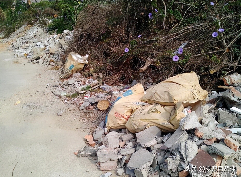 自家山羊拱舔黄土堆后死去，这个老汉这样做