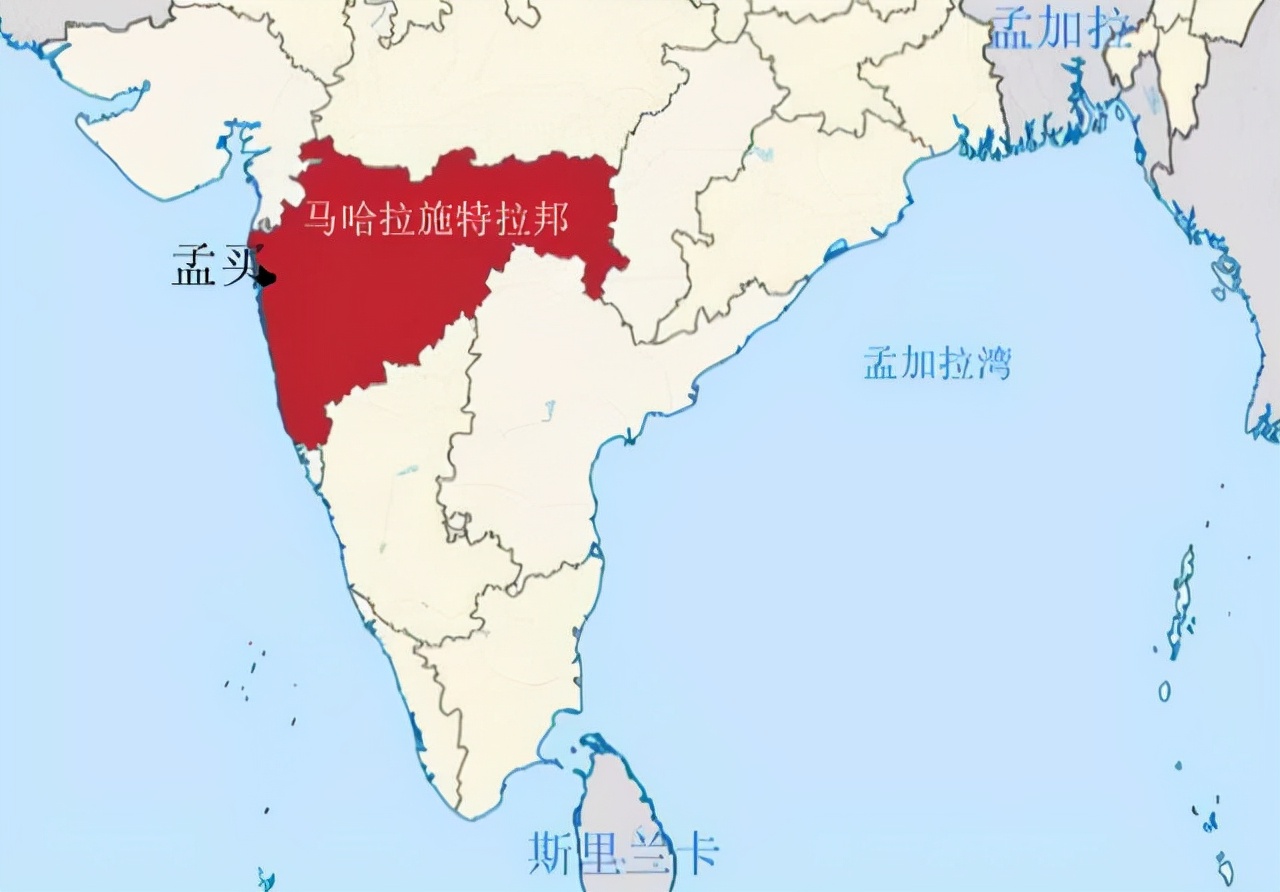 印度惨烈猴狗战争:狗群杀死猴崽,猴群报复杀死250条狗
