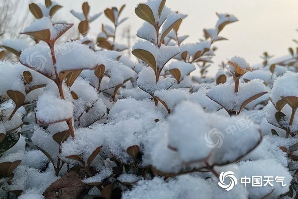 南北方气温跌入低谷 湖南等地雪势强劲