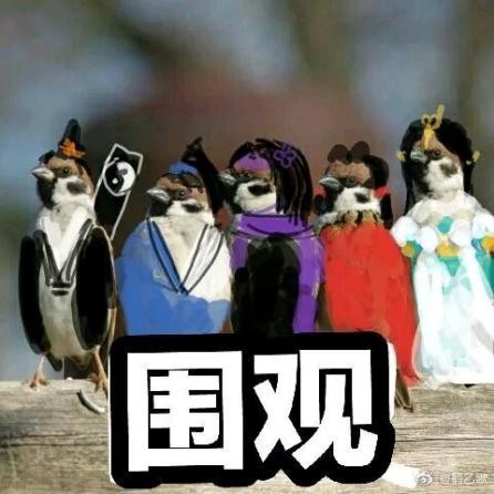 假如一梦江湖全体型你会怎么选?暗香萝莉,武当成女,玩家好会