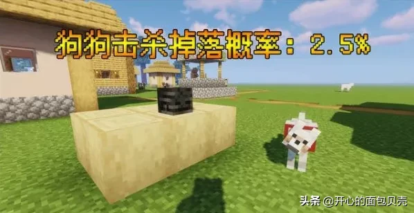 我的世界龙首竟然也能附魔?怪物头颅的10个冷知识你知道多少