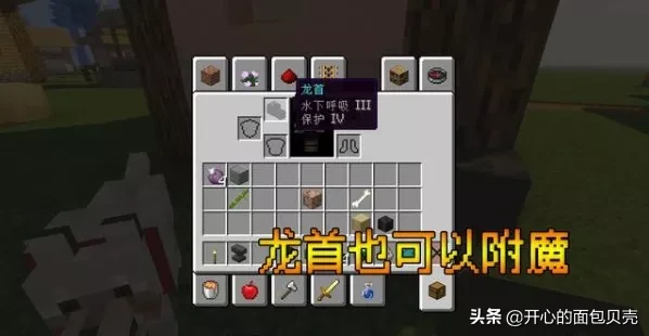 我的世界龙首竟然也能附魔?怪物头颅的10个冷知识你知道多少