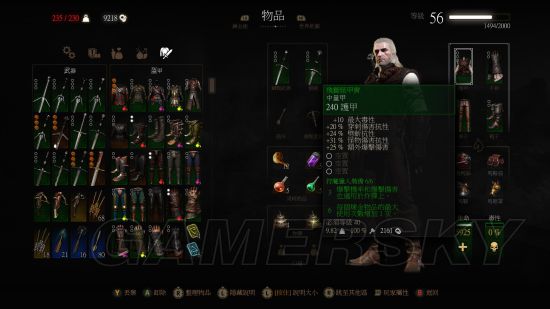 《巫师3》师匠级套装大全 所有学派师匠级套装外观图及特殊效果一览