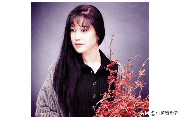 爱江山更爱美人是哪年的？（爱江山更爱美人介绍）  第4张