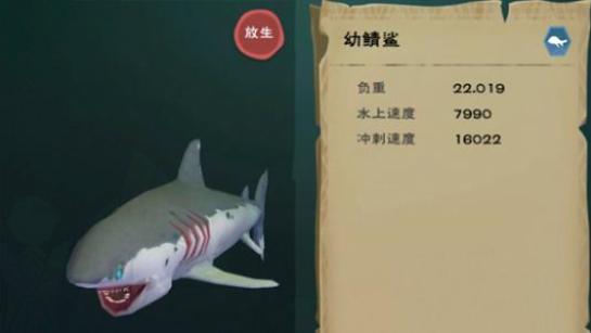 创造与魔法三栖坐骑（创造与魔法高性价比的坐骑推荐）--第2张