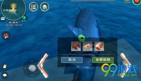 创造与魔法幼鲭鲨位置(创魔鲨鱼位置)--第1张 创造与魔法幼鲭鲨位置(创魔鲨鱼位置)--第1张
