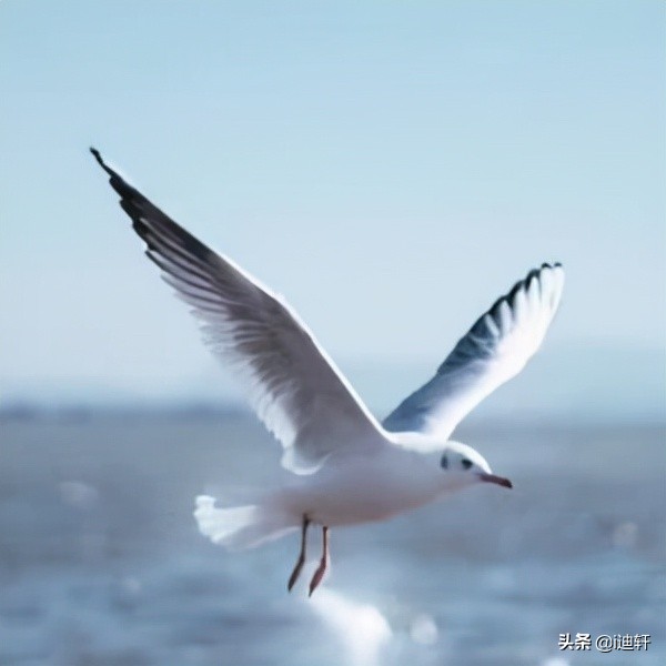 手游代理