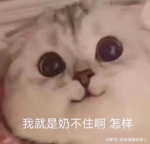 手游代理