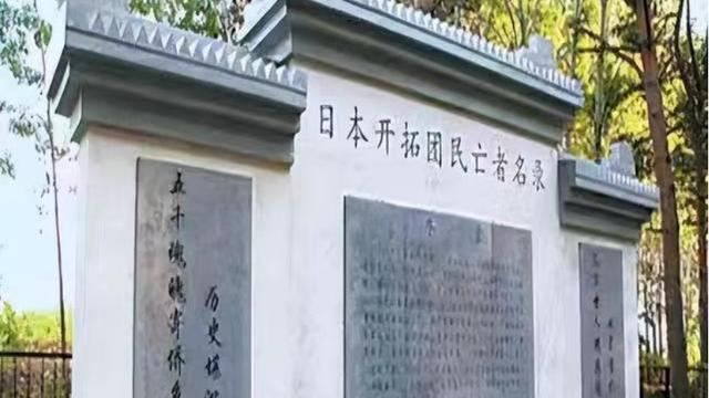 方舟生物代码大全（方舟生存进化生物代码汇总）  第18张