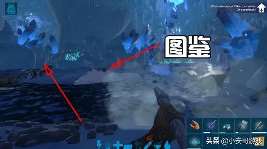 方舟仙境神器矿洞位置（方舟手游六大矿洞攻略路线）  第25张
