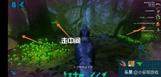 方舟仙境神器矿洞位置（方舟手游六大矿洞攻略路线）  第32张