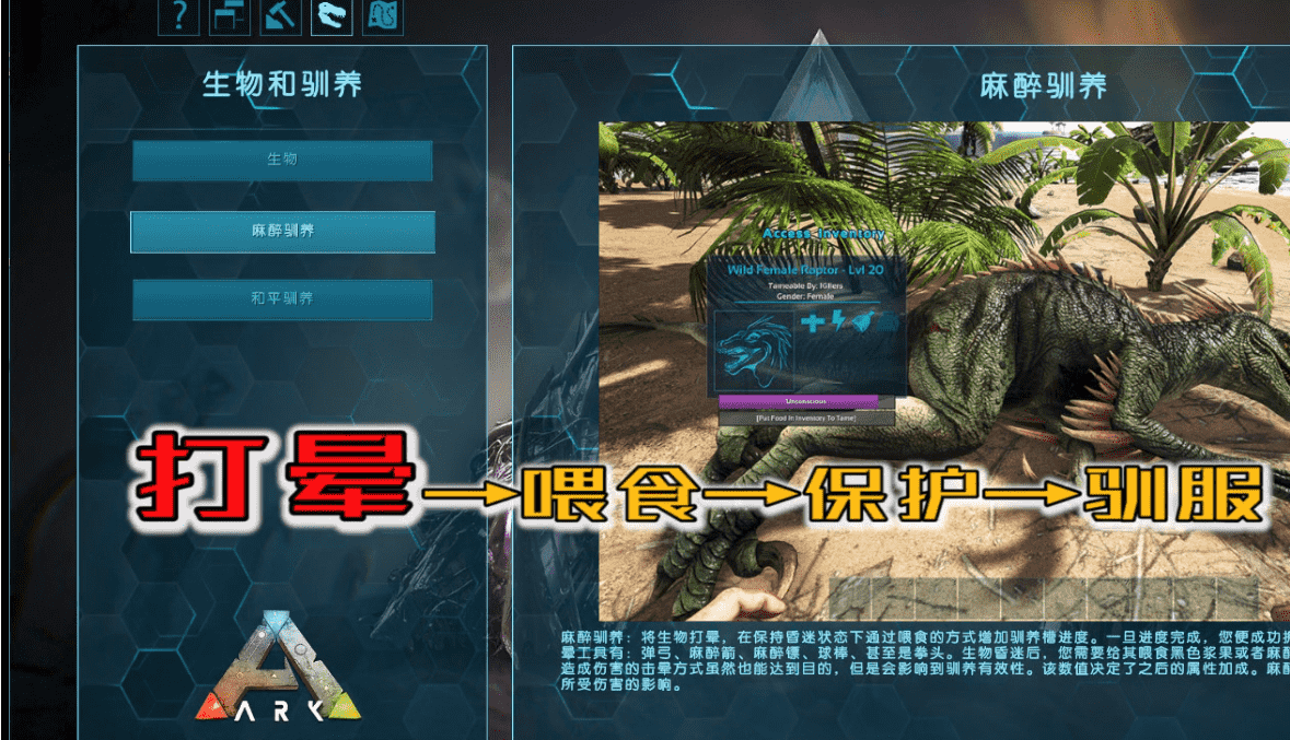 手游代理