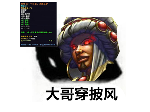 黑色龙鳞背包(魔兽世界披风幻化背包)  第7张