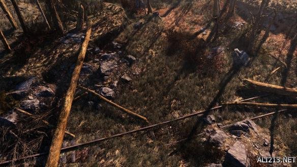 辐射4enb（辐射4优质end截图）  第6张