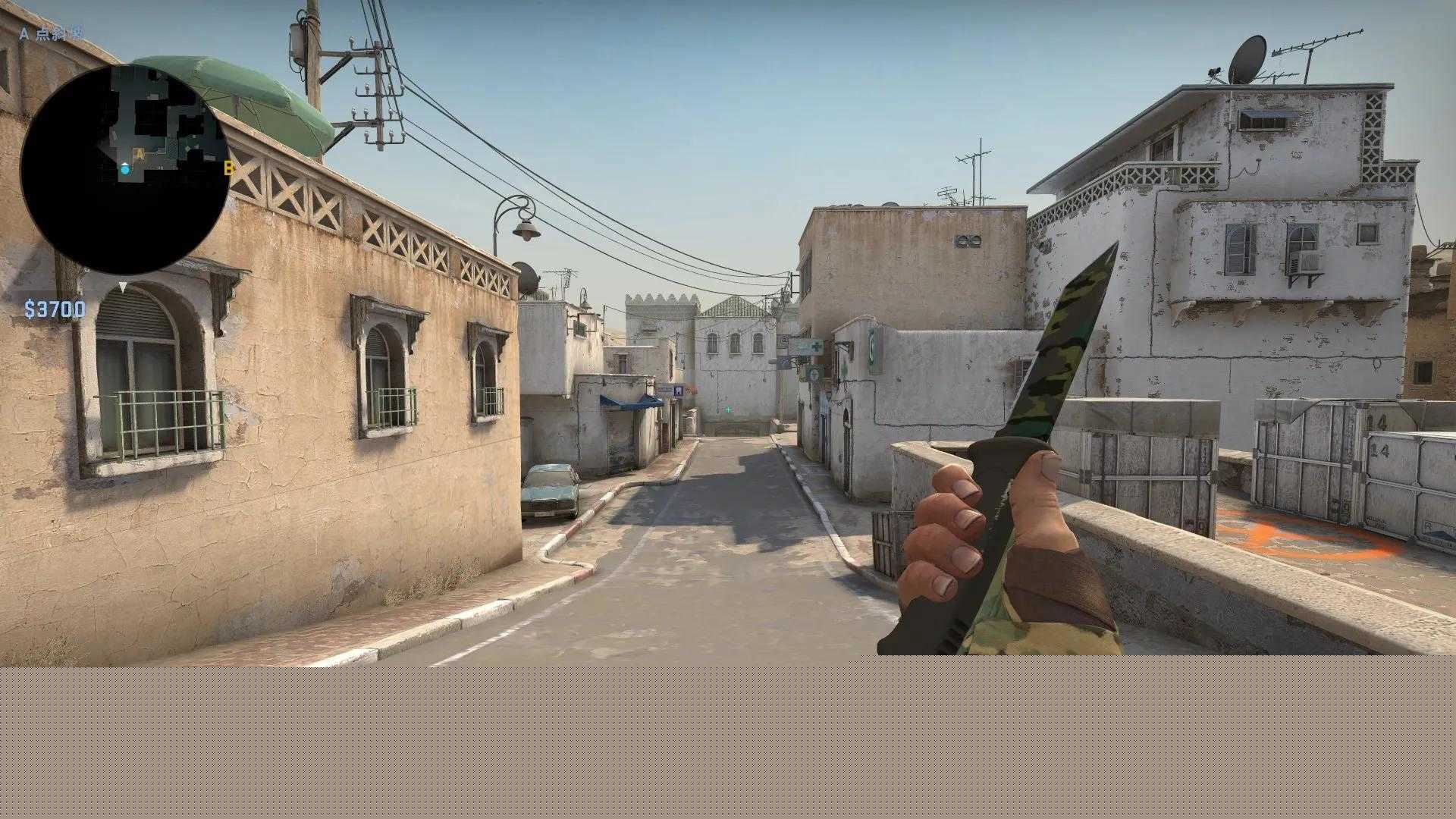 csgo熊刀皮肤推荐（CSGO超高性价比皮肤推荐）--第5张