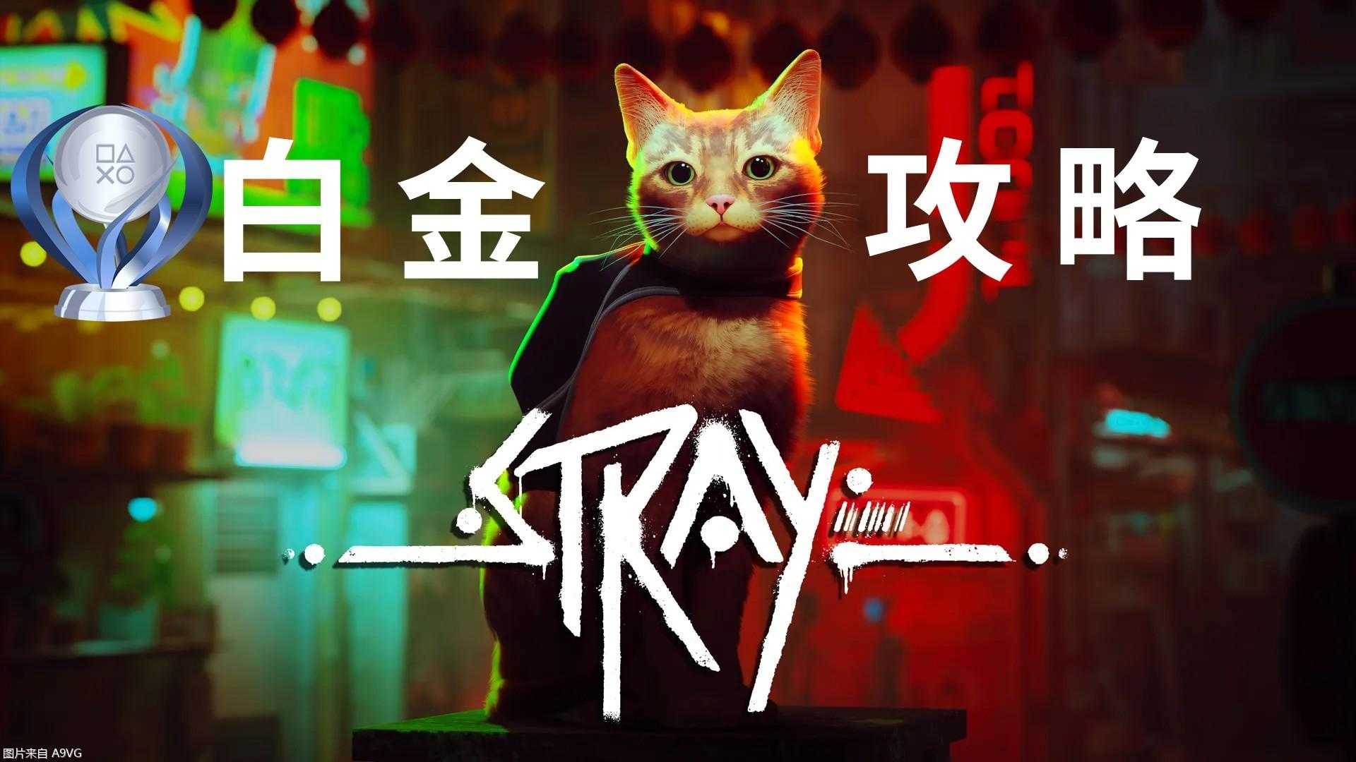 迷失白金第一章攻略大全(迷失Stray隐藏物品拿法指南)--第1张 迷失白金第一章攻略大全(迷失Stray隐藏物品拿法指南)--第1张