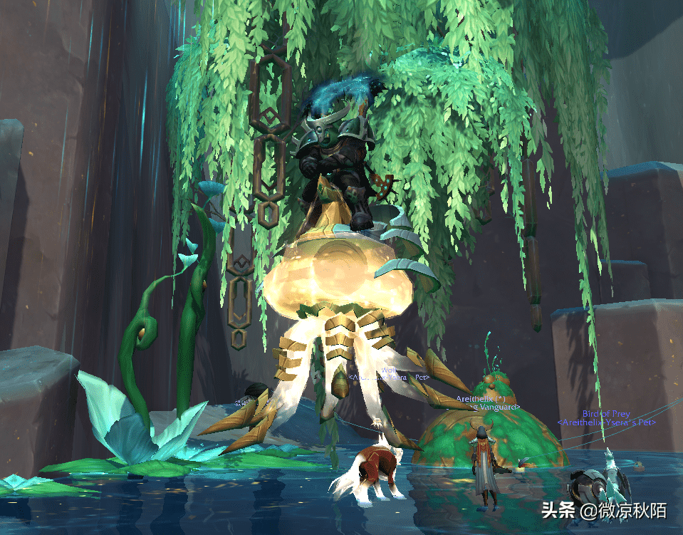 魔兽世界容易获得的坐骑宠物（3个野外直接掉落的坐骑）--第7张