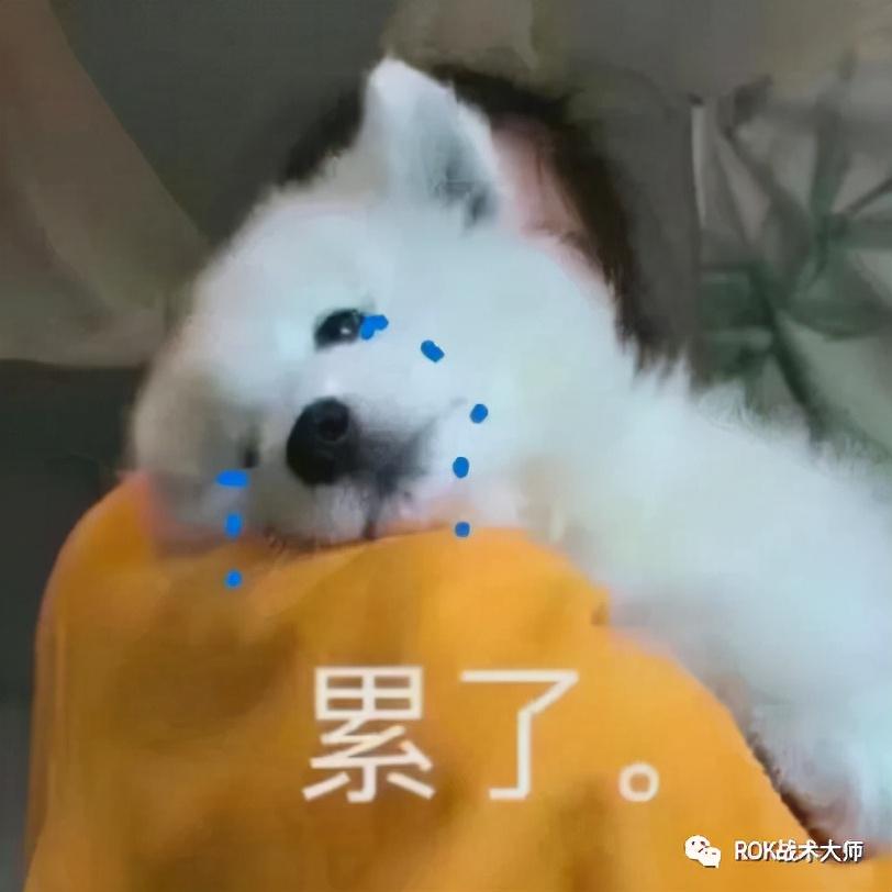 万国觉醒新版各兵种船怎么打（怒海争锋各兵种船打法指南）--第5张