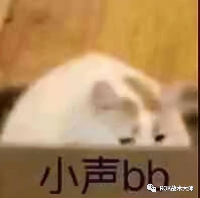 万国觉醒新版各兵种船怎么打（怒海争锋各兵种船打法指南）--第7张
