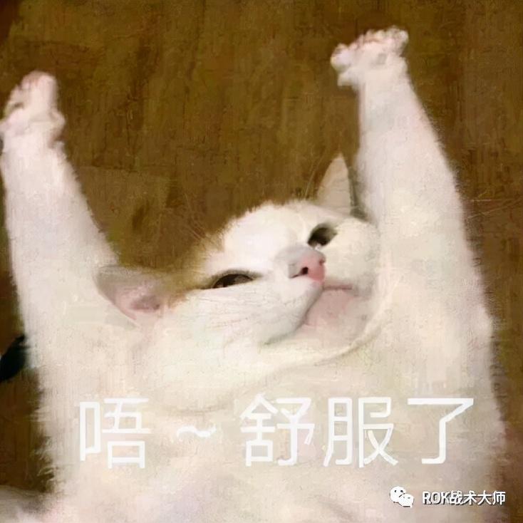 万国觉醒新版各兵种船怎么打（怒海争锋各兵种船打法指南）--第13张
