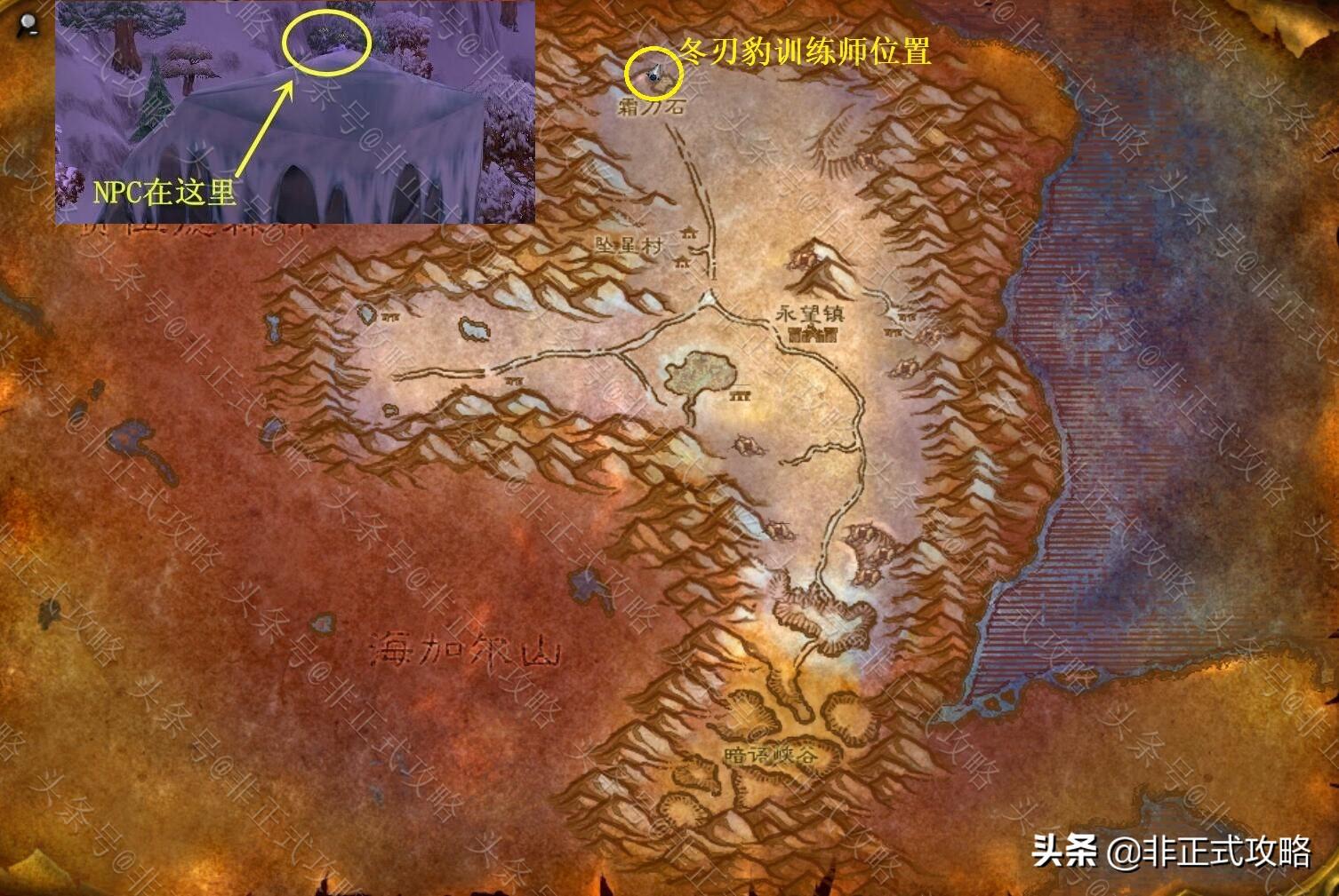 魔兽怀旧服冬泉霜刃豹坐骑怎么获得（冬泉霜刃豹坐骑获取方法指南）--第2张