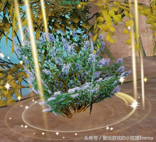 剑侠情缘3瞿塘峡采仙草怎么完成（瞿塘峡采仙草任务通关指南）--第7张