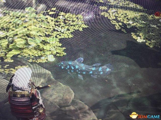 怪物猎人世界古老巨龙骨攻略(巨龙骨全方位入手教学)--第9张 怪物猎人世界古老巨龙骨攻略(巨龙骨全方位入手教学)--第9张