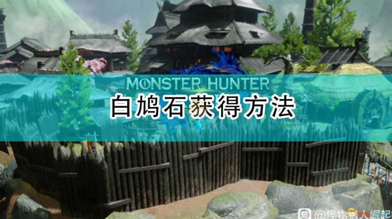 怪物猎人世界白鸠石在哪里采集(白鸠石获取攻略介绍)--第1张