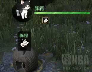 《逆水寒》猫咪获取教程(撸猫提升好感度技巧分享)--第6张 《逆水寒》猫咪获取教程(撸猫提升好感度技巧分享)--第6张
