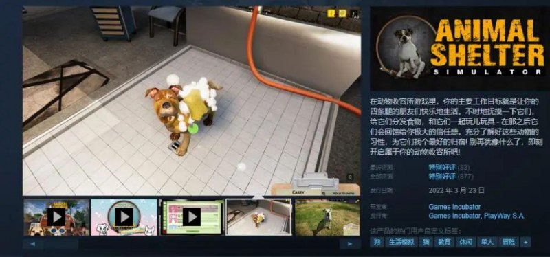 好玩的宠物游戏汇总（小众萌宠游戏推荐）--第16张