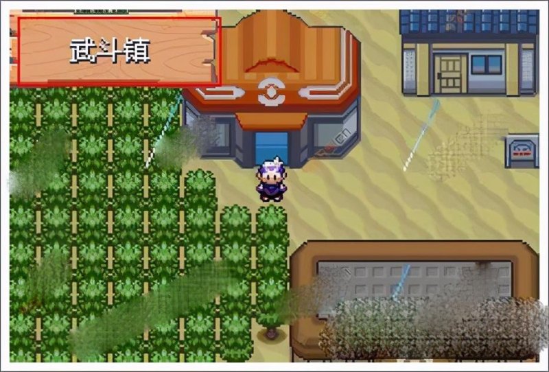 口袋妖怪漆黑的魅影电脑版怎么玩（新手入门教程以及按键操作指南）--第11张