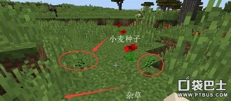 我的世界0.12.1马在哪找(马驯服技巧指南)--第1张 我的世界0.12.1马在哪找(马驯服技巧指南)--第1张