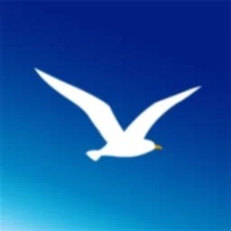 海鸥加速器app