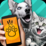 抖音动物交流器app下载-抖音动物交流器安卓版下载v1.1