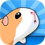 阳光豚鼠养殖场app软件下载-阳光豚鼠养殖场安卓版下载v1.0.1