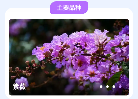 紫薇花园