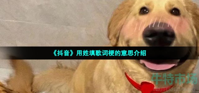 《抖音》用姓填歌词梗的意思介绍